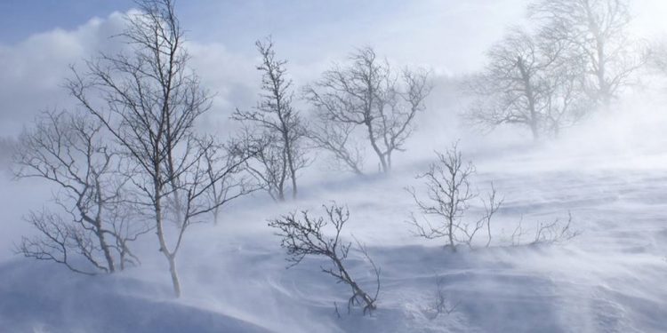 Энэ долоо хоногийн сүүлээр ихэнх нутгаар хүйтэрнэ гэж анхаарууллаа